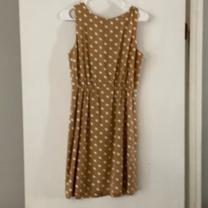 JCrew women’s dress sz 6 Very cute polka dot